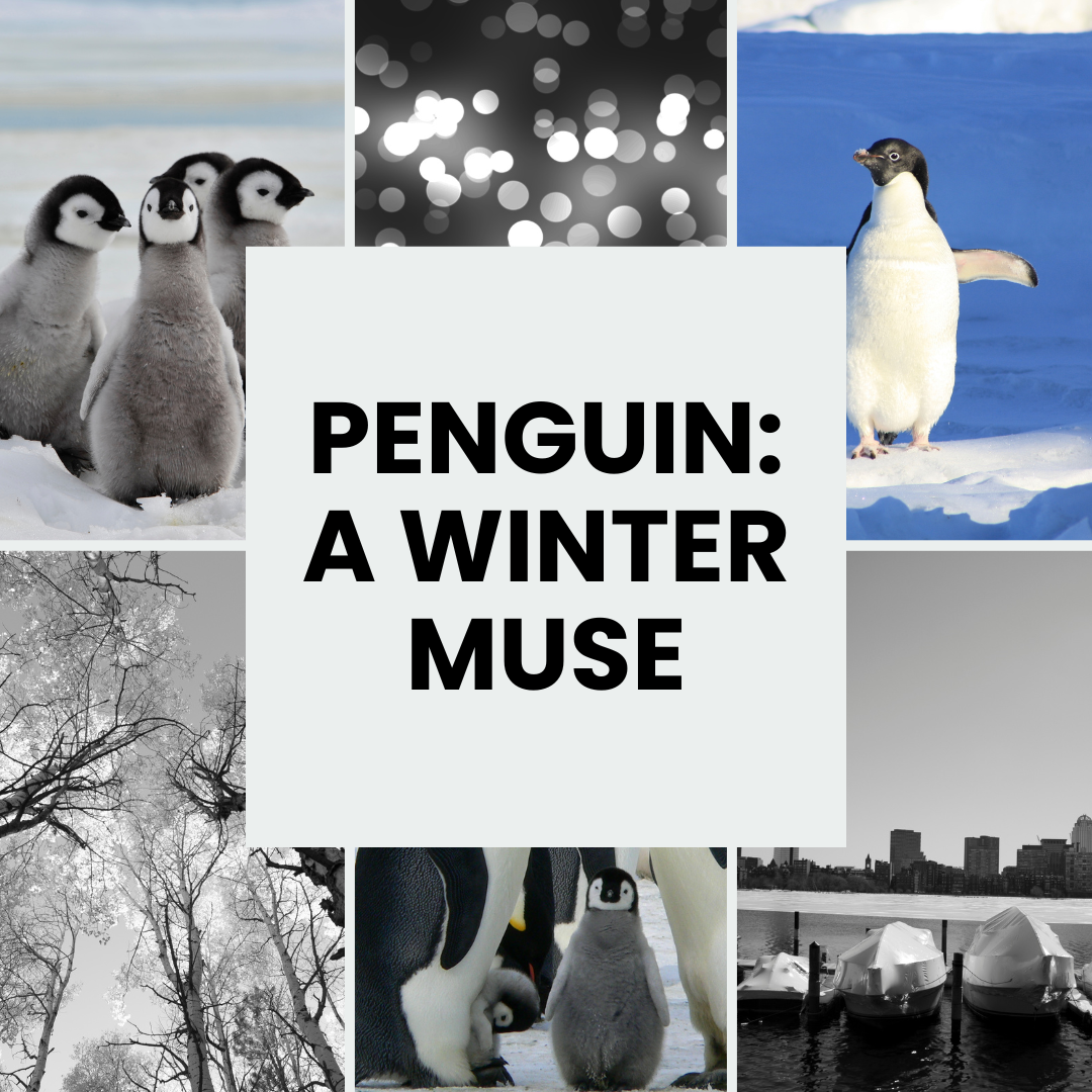 Penguin Inspired Activities in Boston